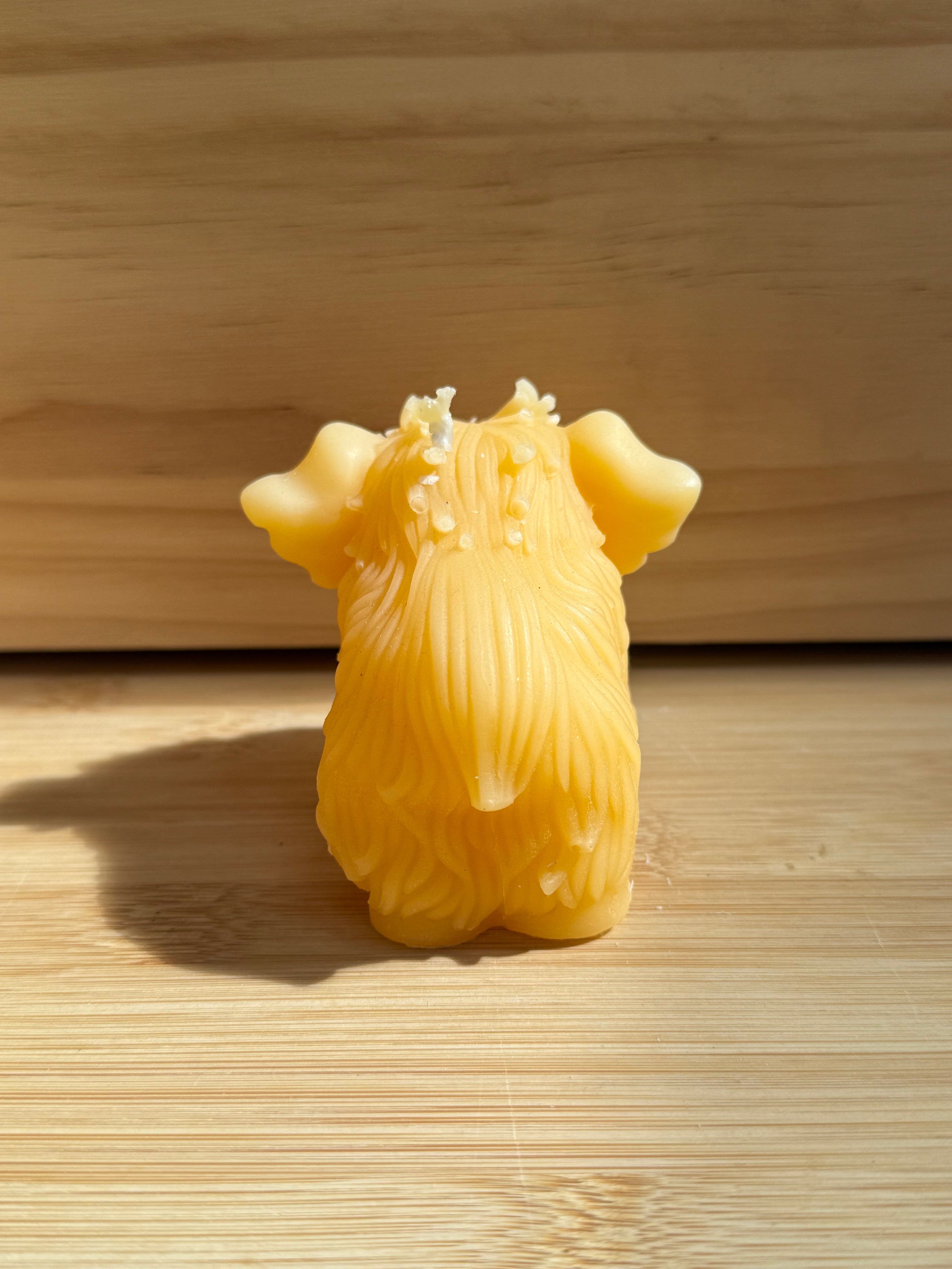 Mammut
