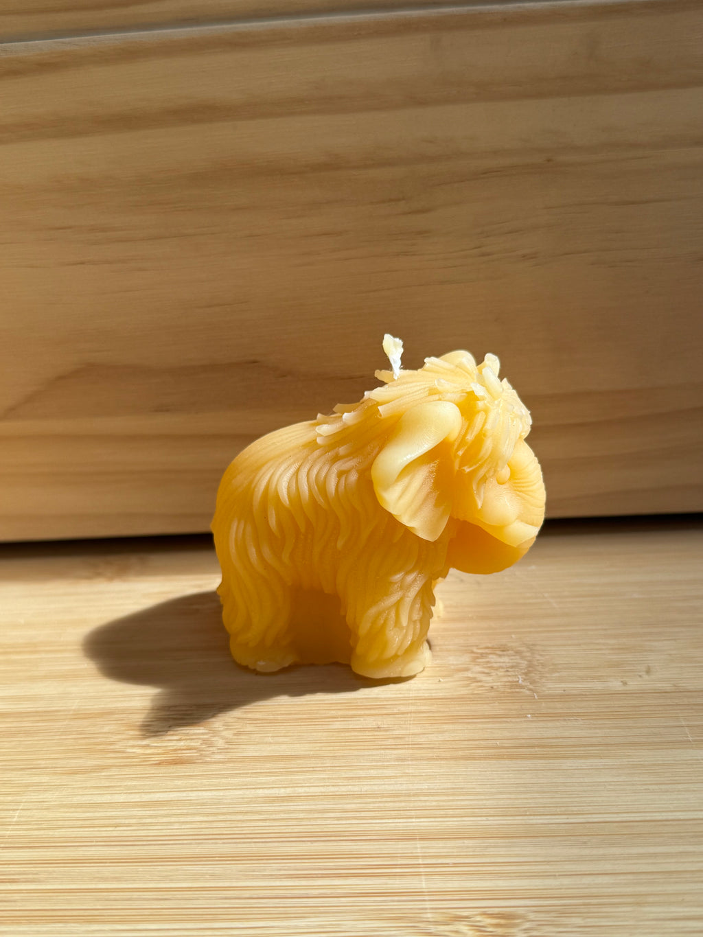 Mammut