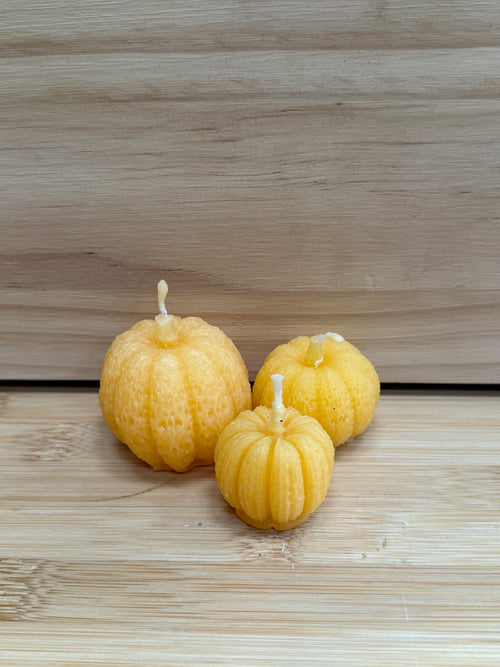 Kürbis groß